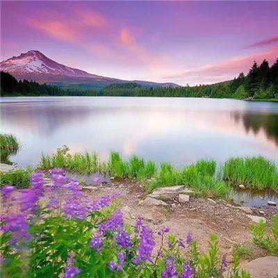 皇冠新体育APP官方入口